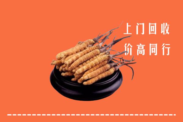 高价求购：中山石岐区回收散虫草